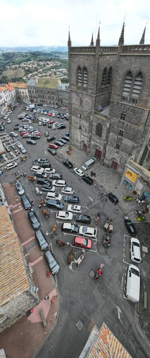 Saint-Flour Chevaux - 27-08-2022(0500).jpg